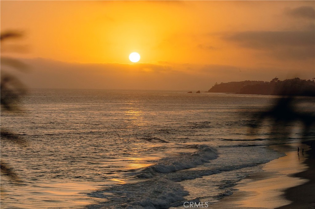1585 S Coast 31