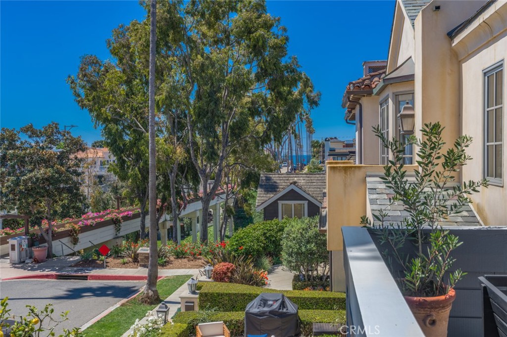 A Goldenrod Avenue A