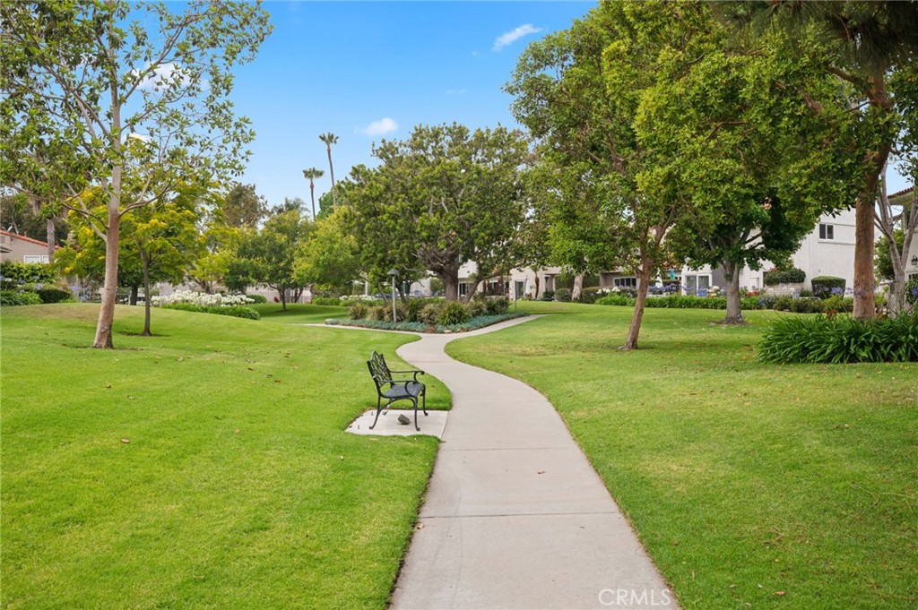 418 Vista Trucha