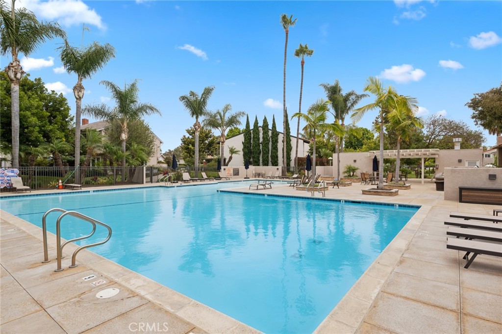 418 Vista Trucha