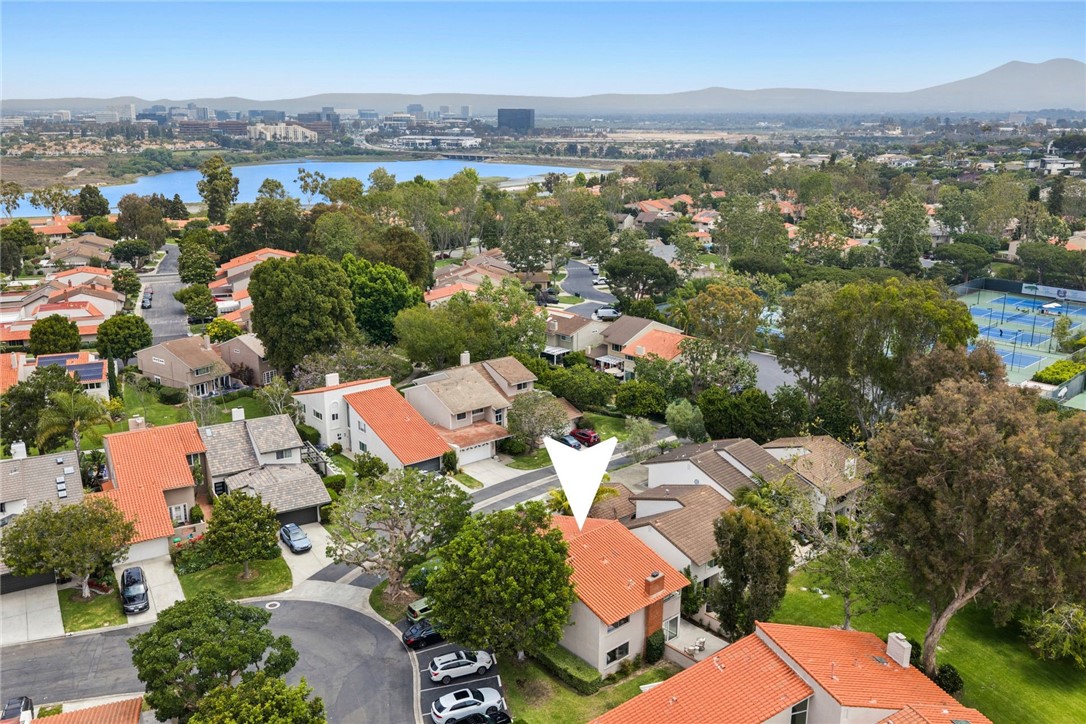 418 Vista Trucha
