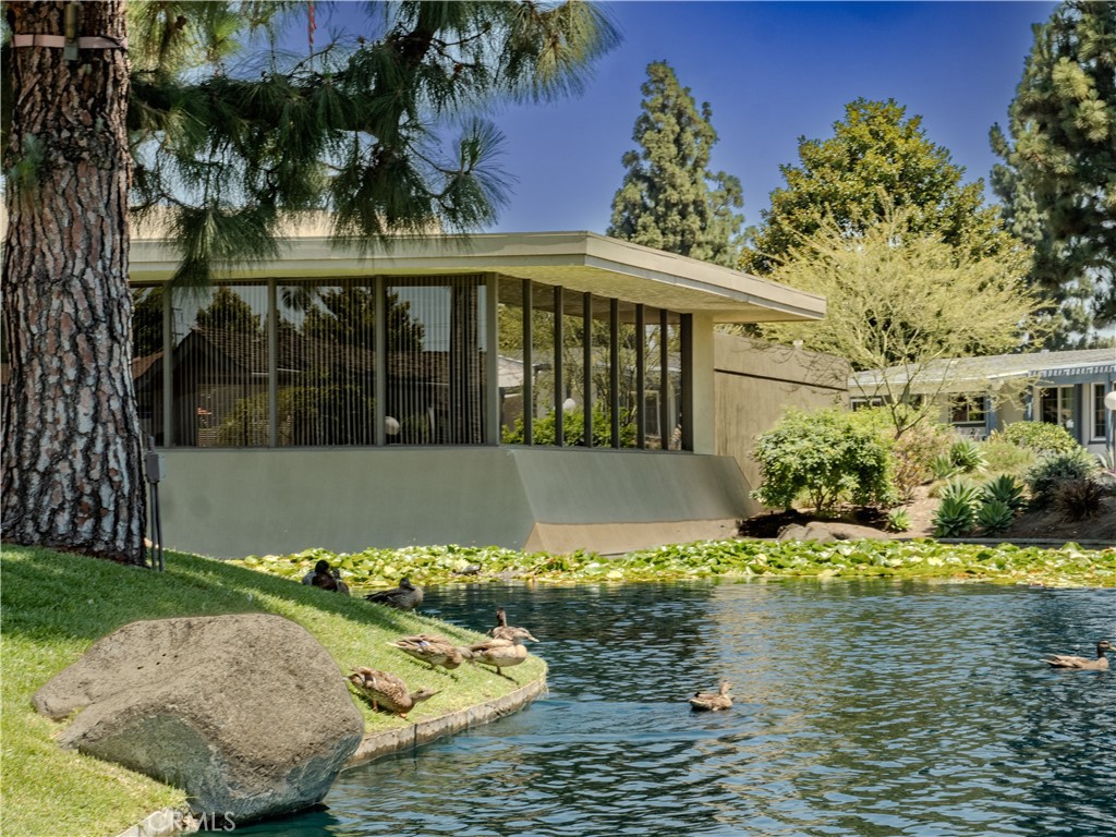 335 Ridgelake