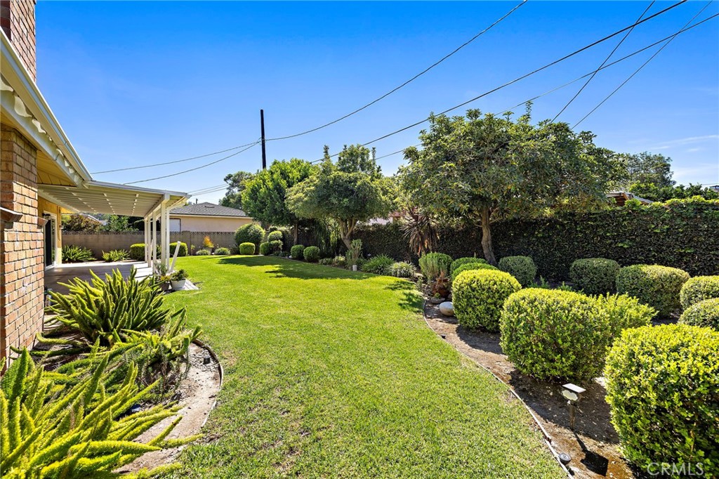 916 E Jonquil