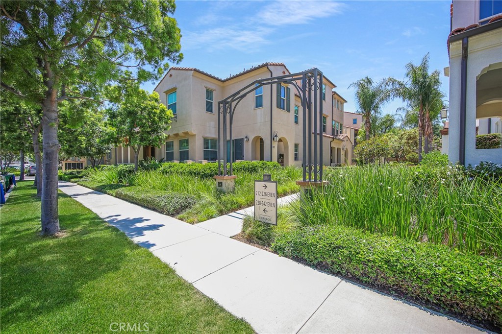 228 Borrego