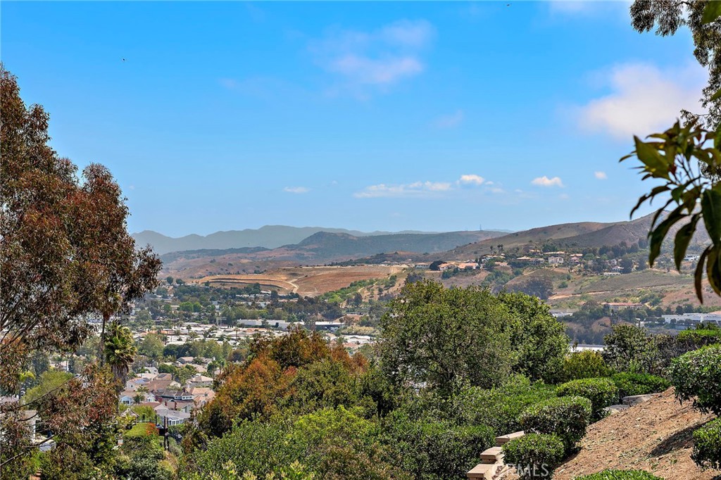 33692 Big Sur Street