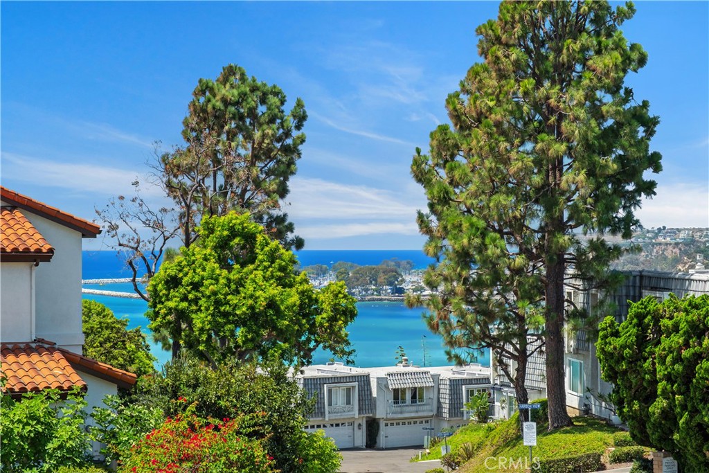 34532 Camino Capistrano