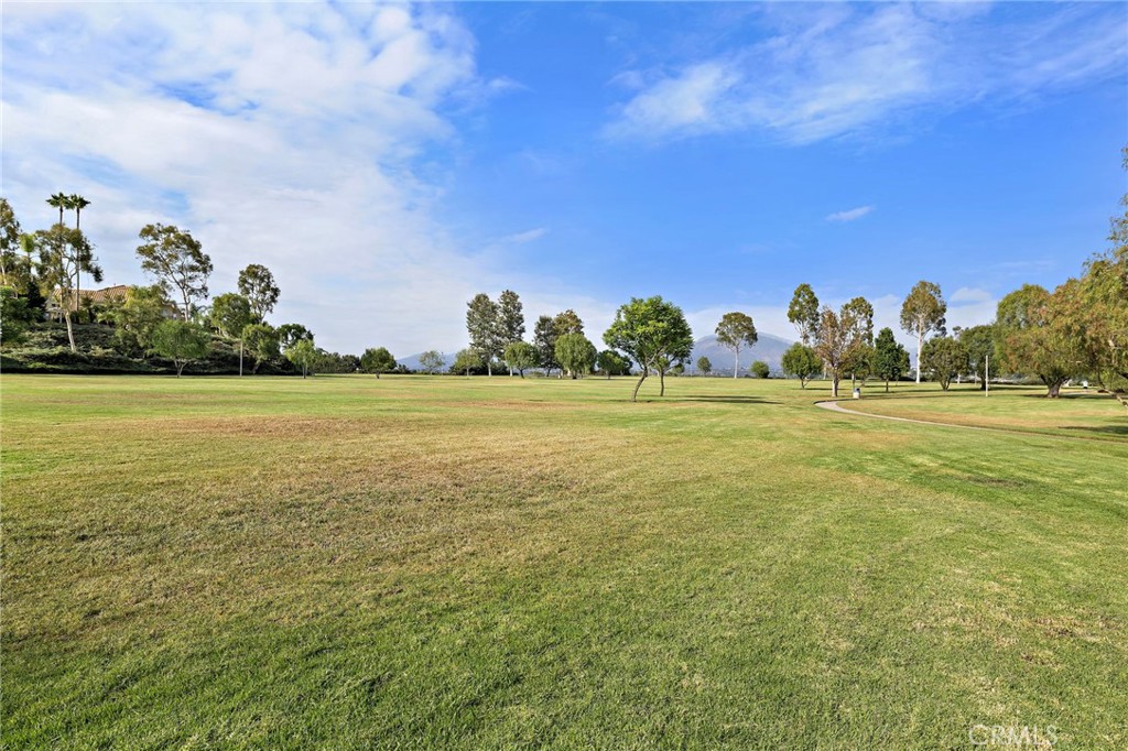 27041 Ironwood Drive