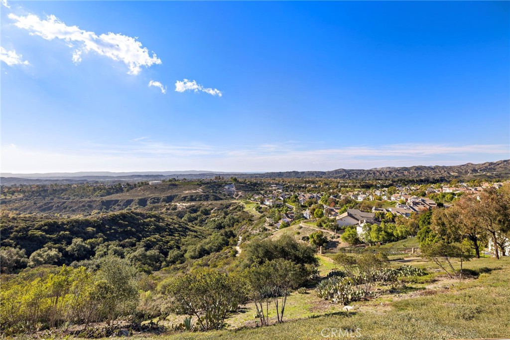 32928 Brookseed Drive