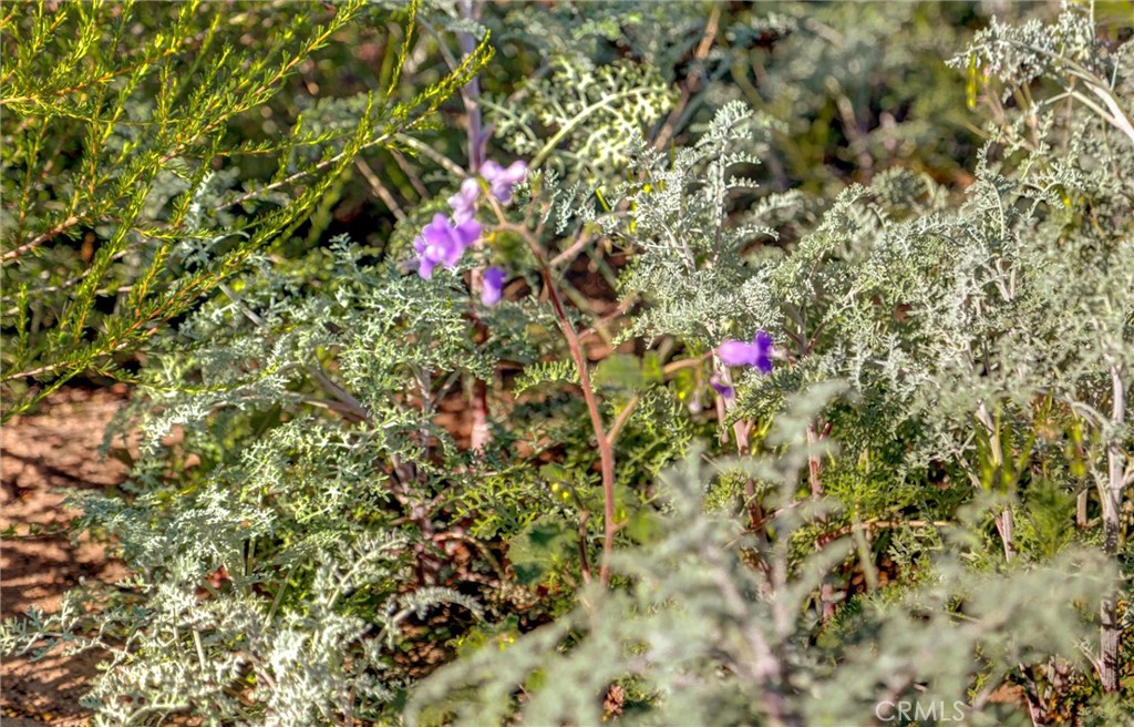 1 Decker Canyon Road