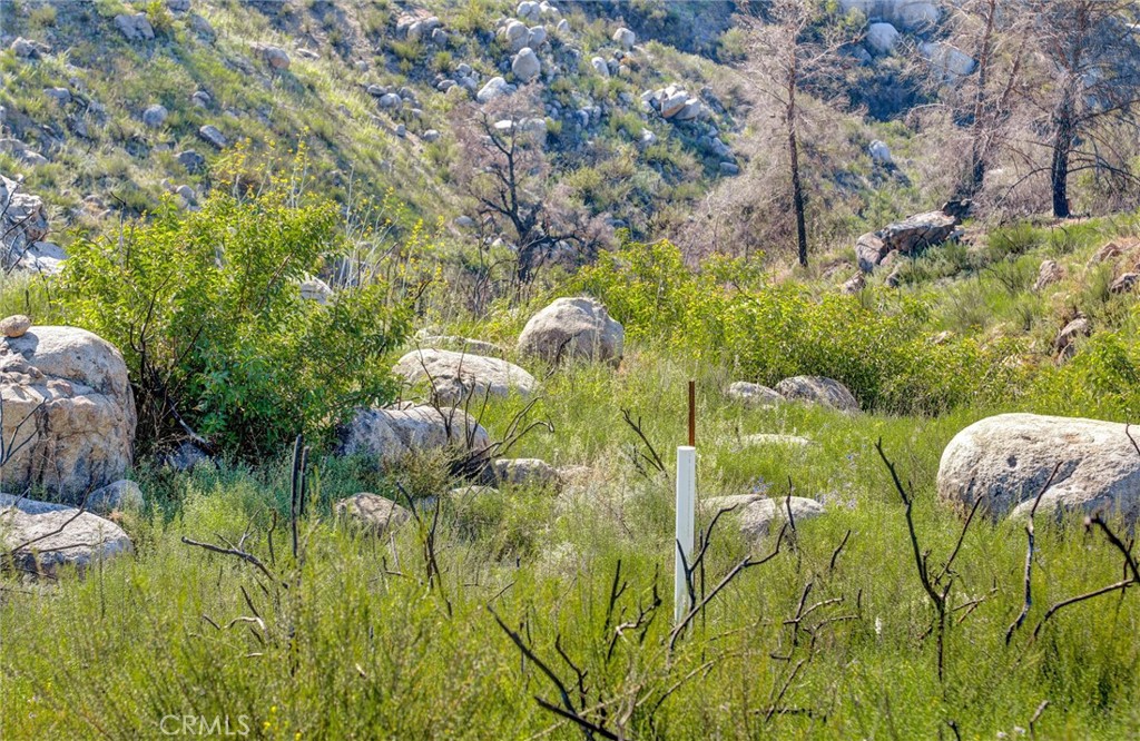 2 Decker Canyon Road