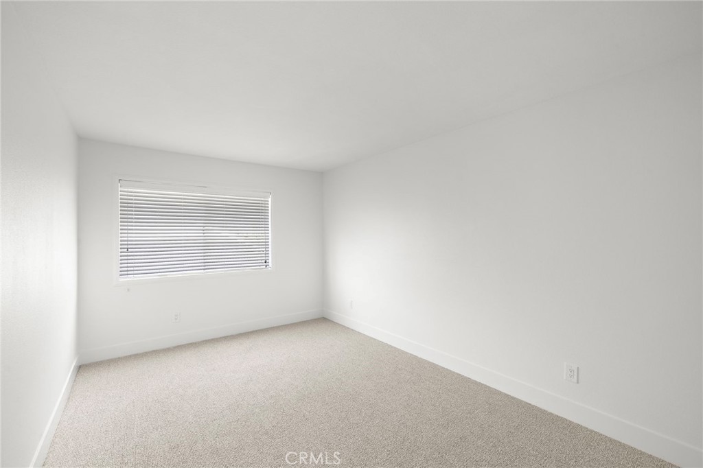 12 Thornapple