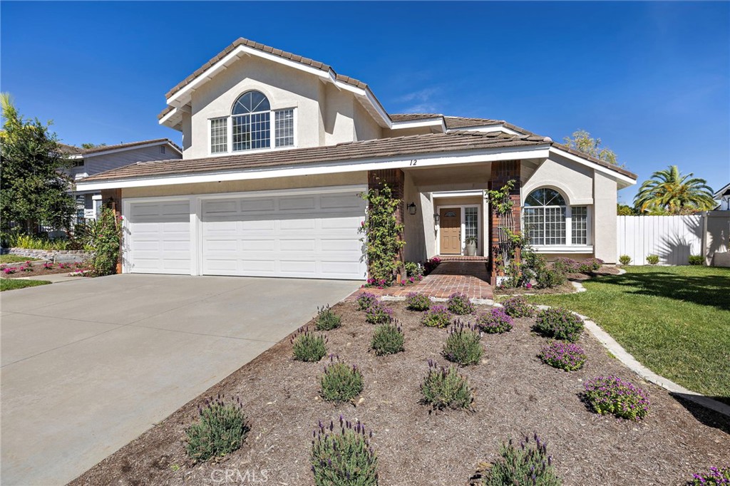 12 Thornapple