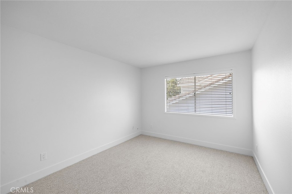 12 Thornapple