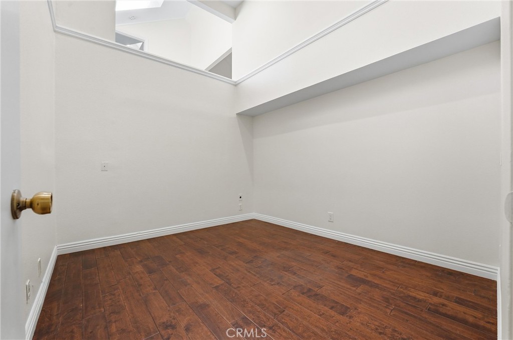 29881 White Otter