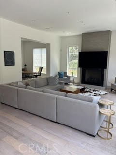 4435 Camellia