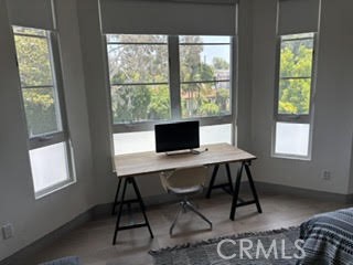 4435 Camellia