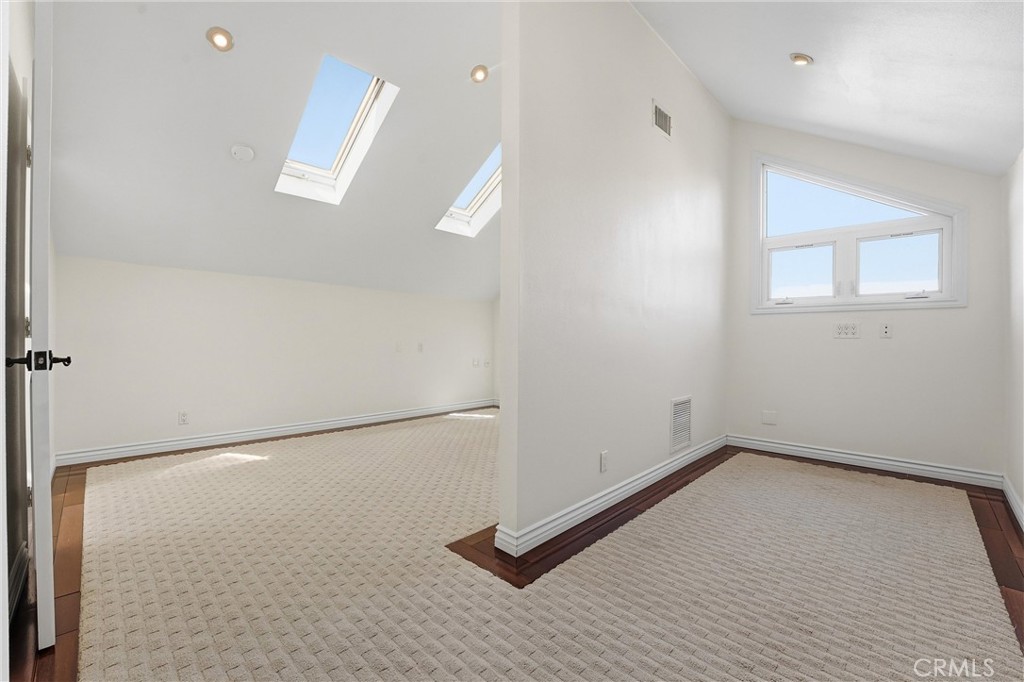 29881 White Otter