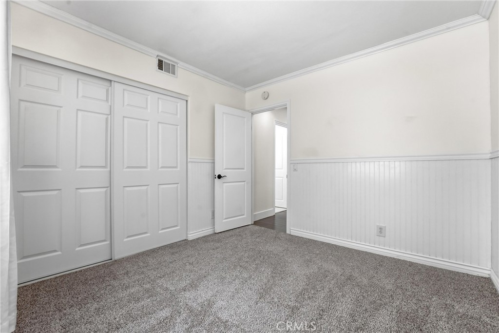 29881 White Otter