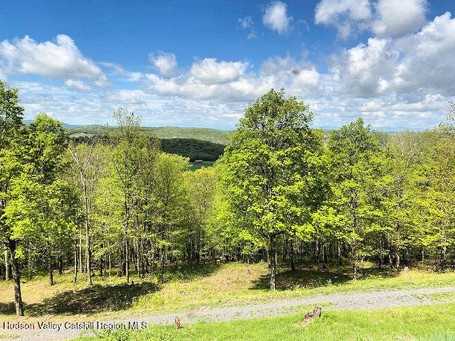 115 Witts Lane, Ancramdale