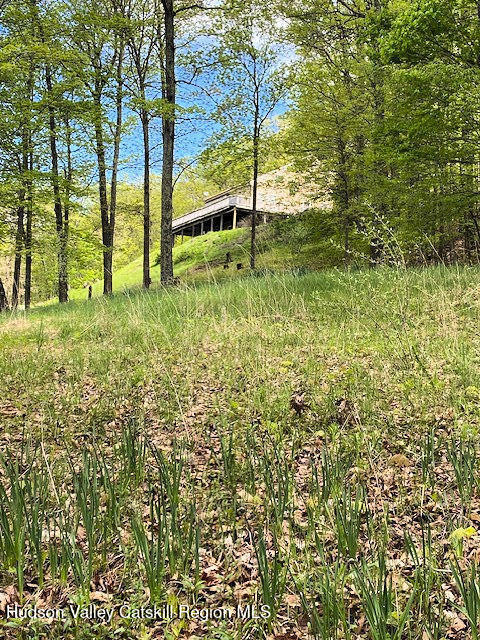 115 Witts Lane, Ancramdale