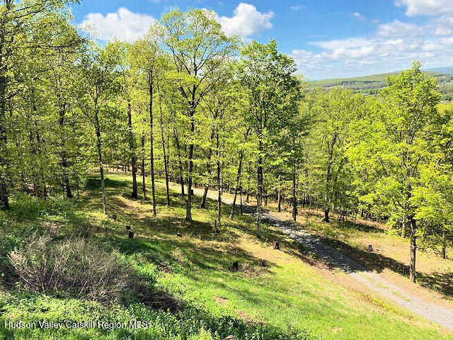 115 Witts Lane, Ancramdale