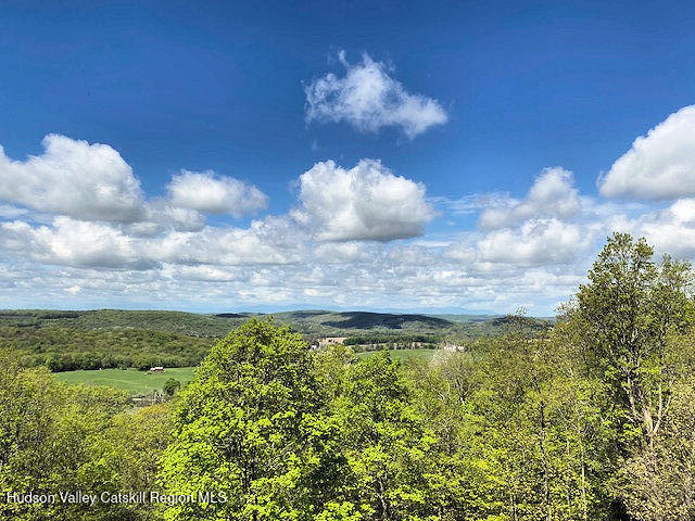 115 Witts Lane, Ancramdale