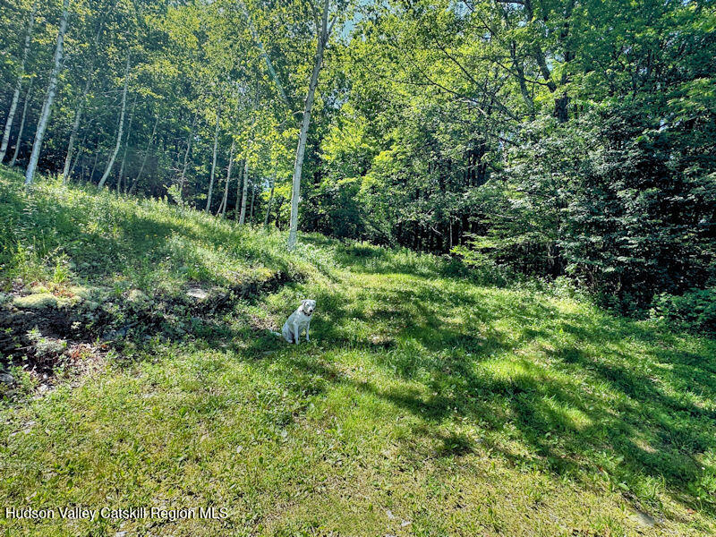 115 Witts Lane, Ancramdale