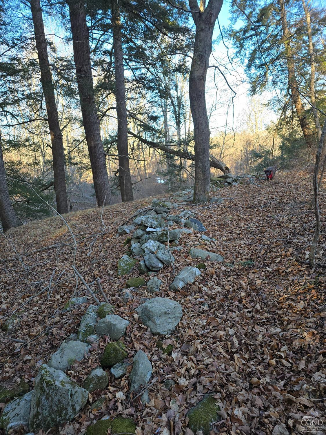 0 Copake Lake Road