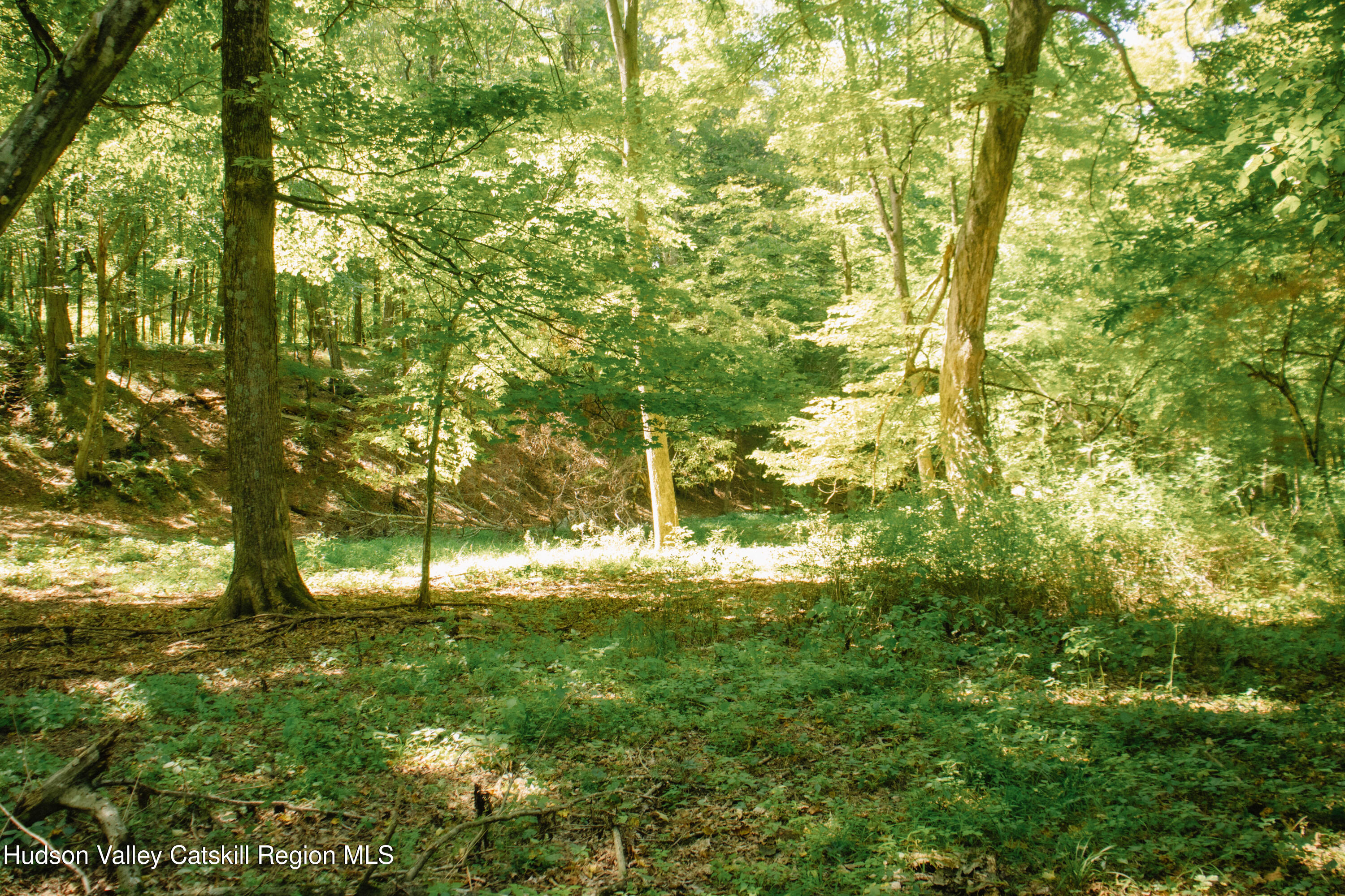 0 Copake Lake Road
