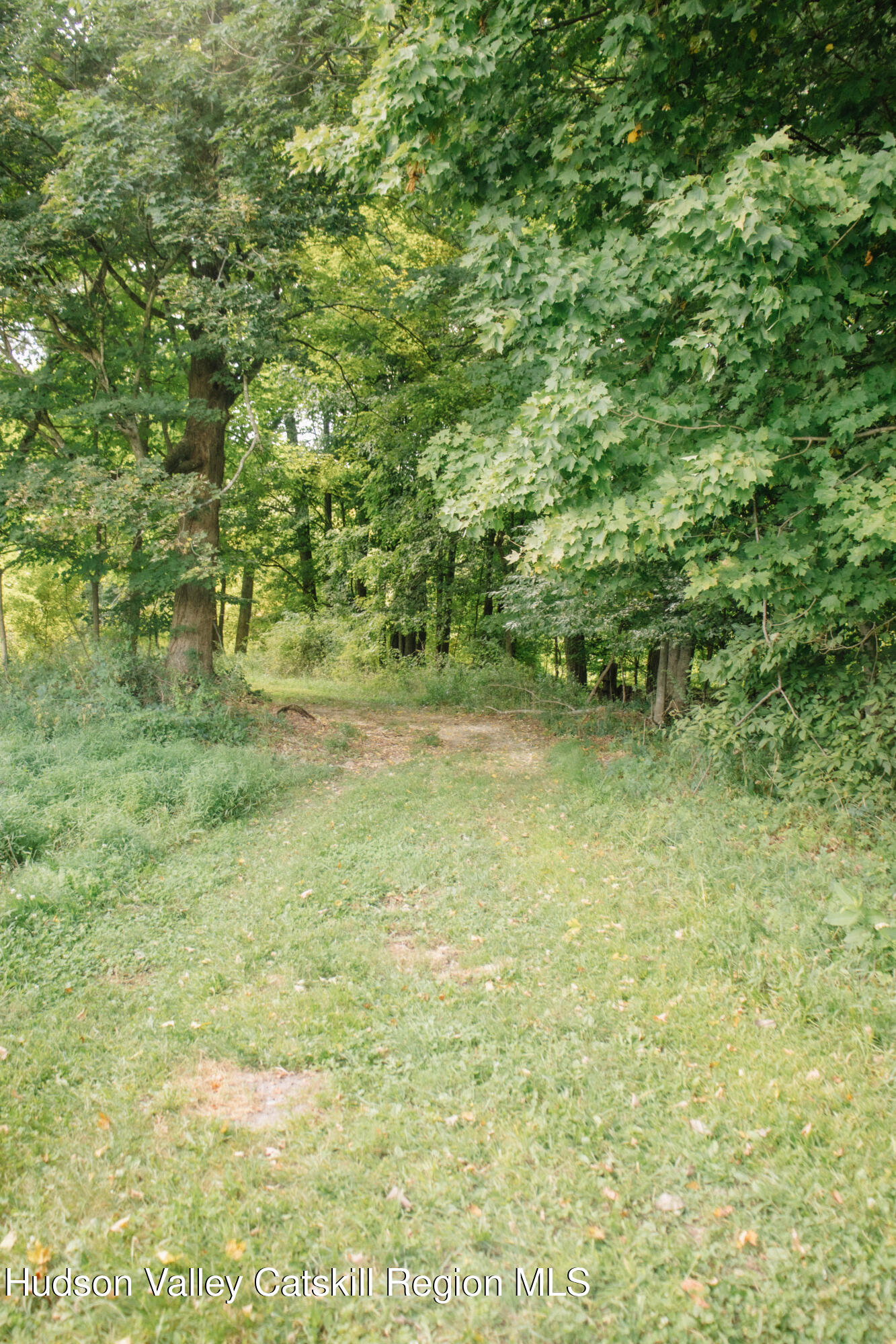 0 Copake Lake Road