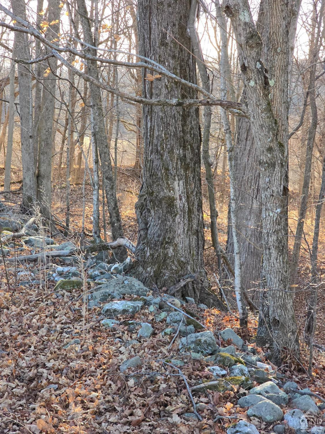0 Copake Lake Road