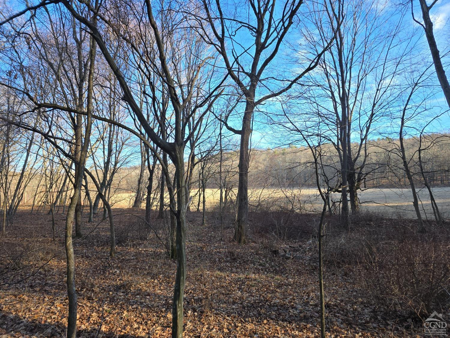 0 Copake Lake Road