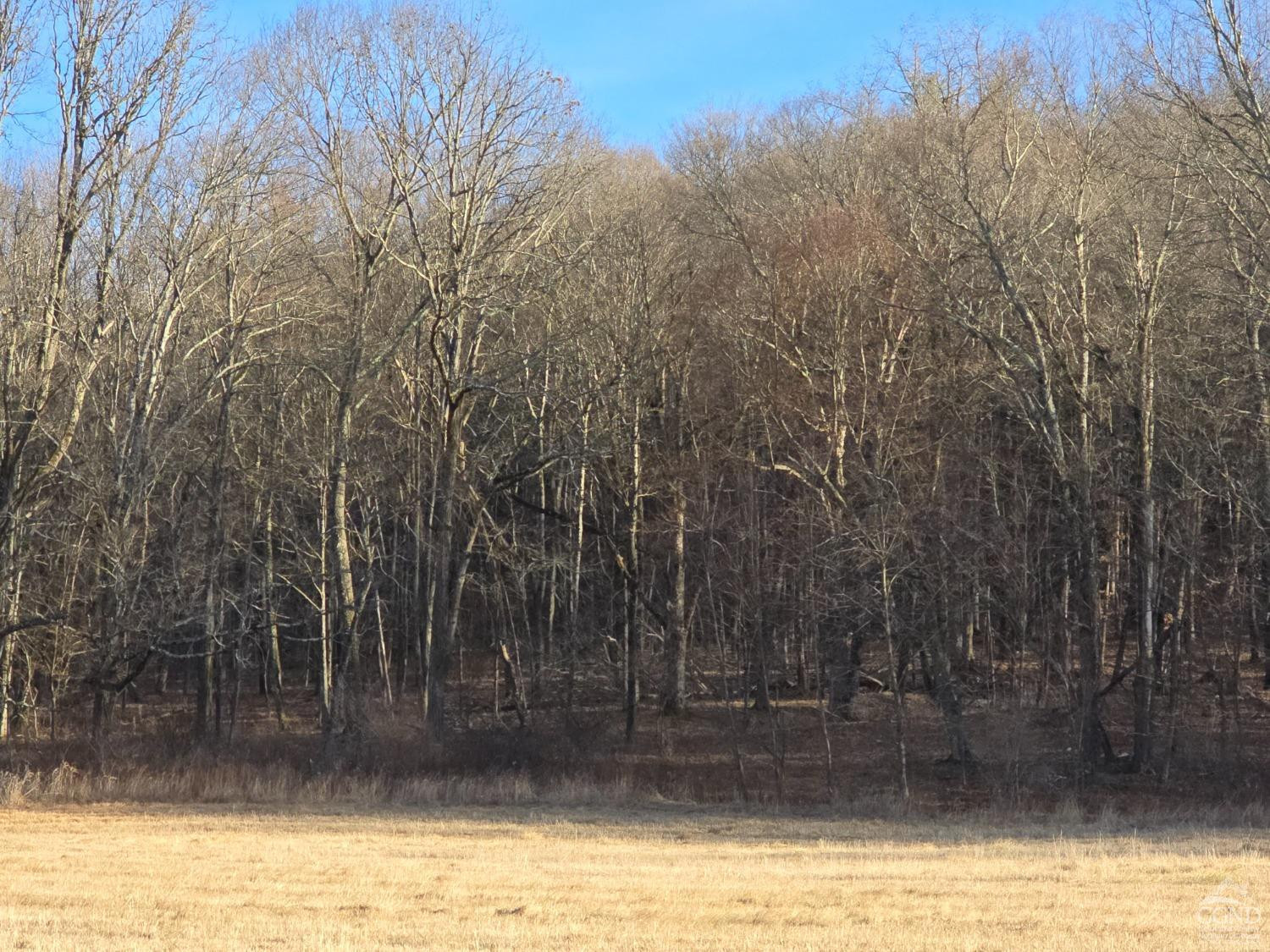 0 Copake Lake Road