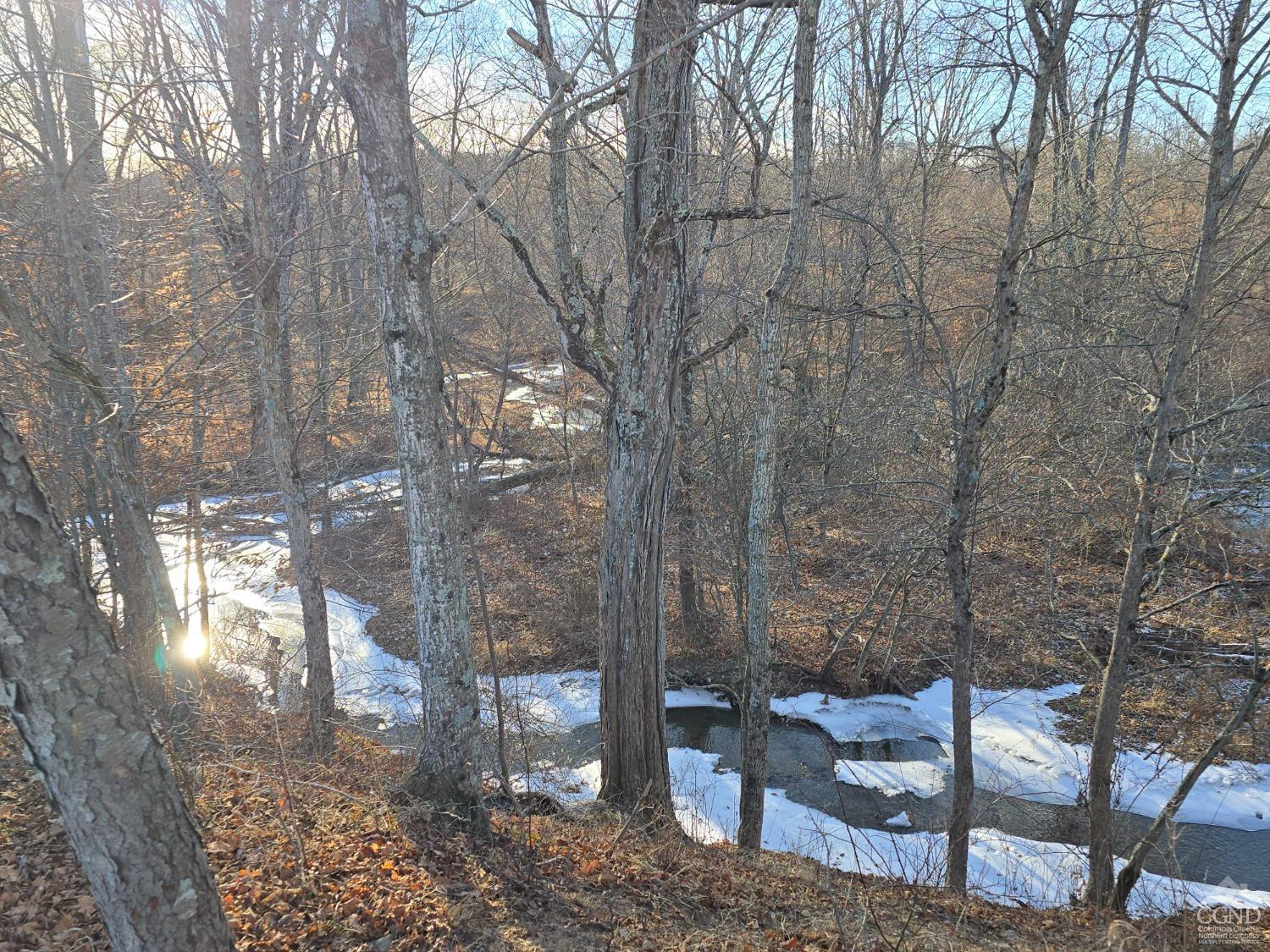 0 Copake Lake Road