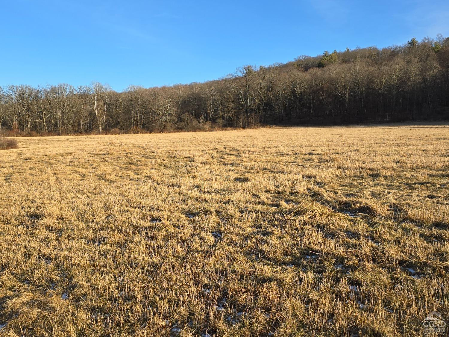 0 Copake Lake Road