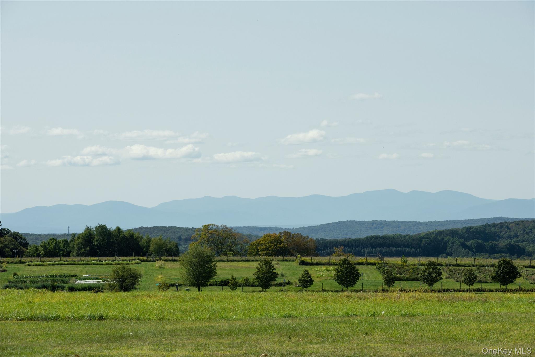 Moadock Road