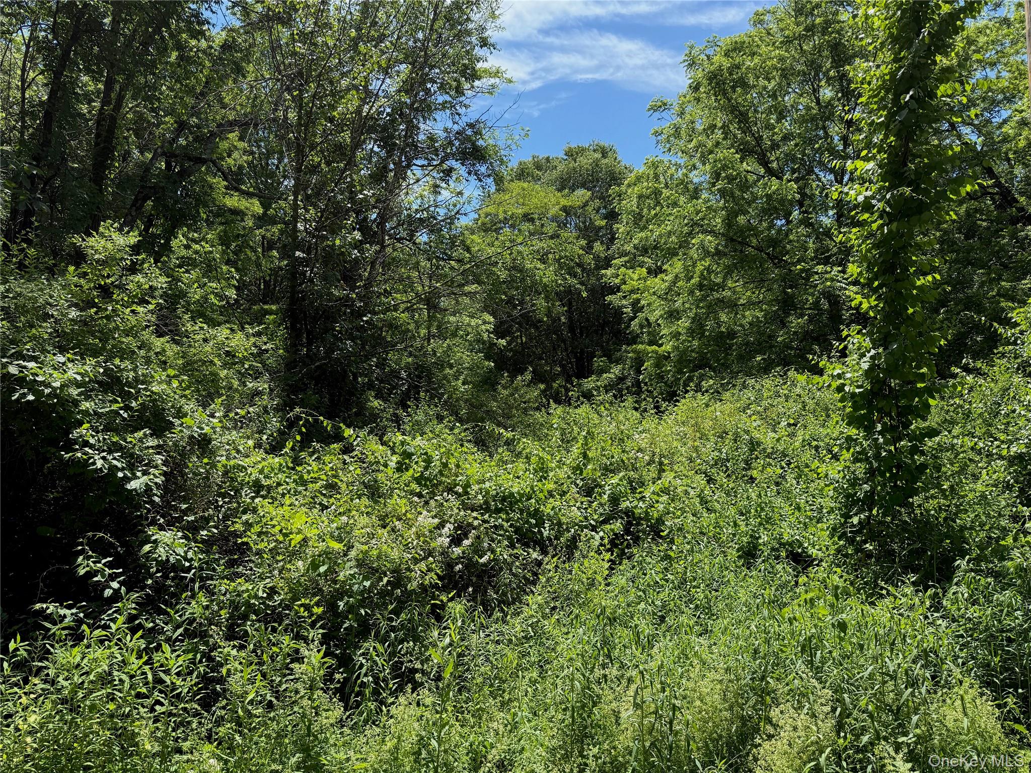 Schoolhouse Road
