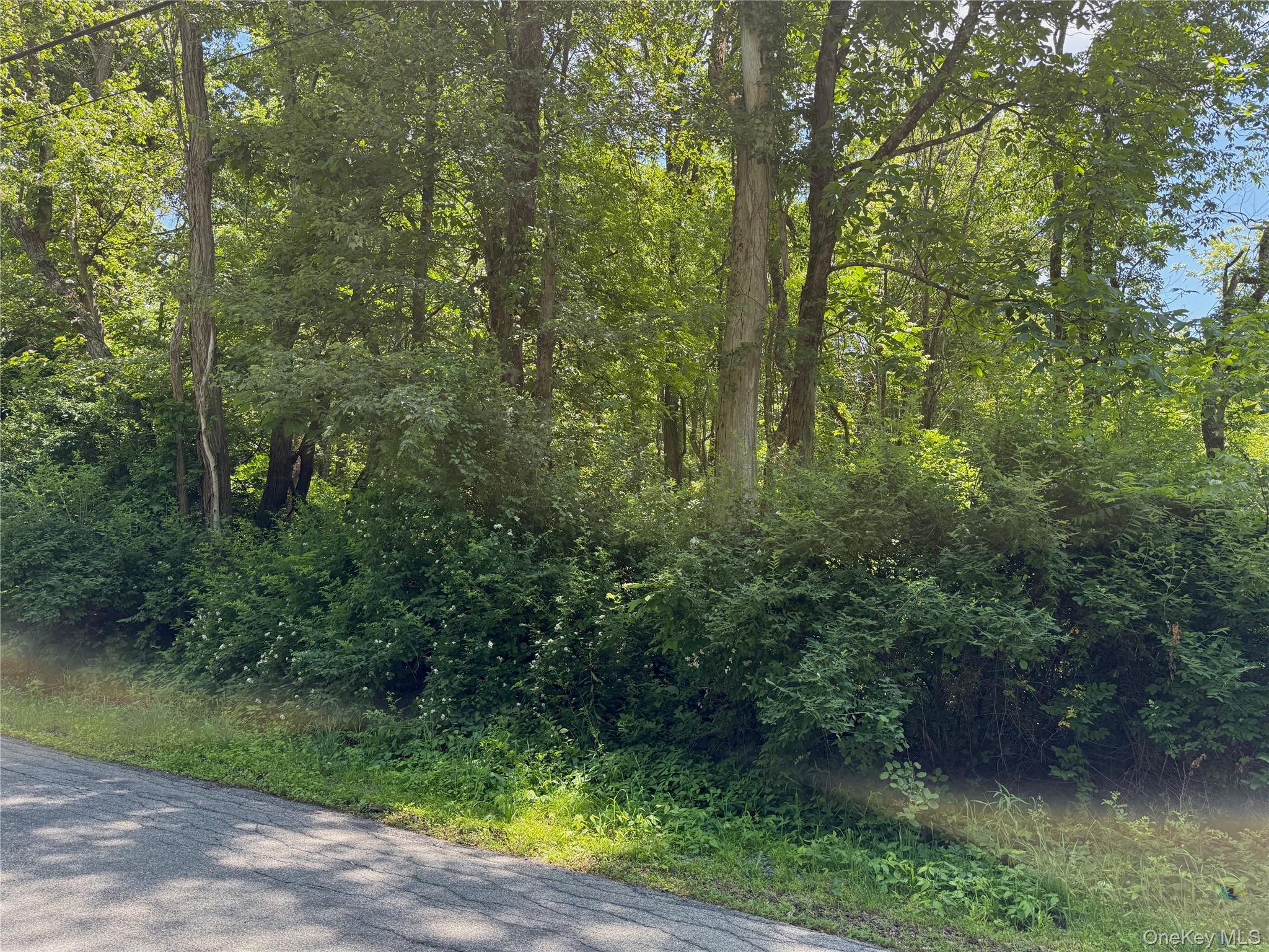 Schoolhouse Road
