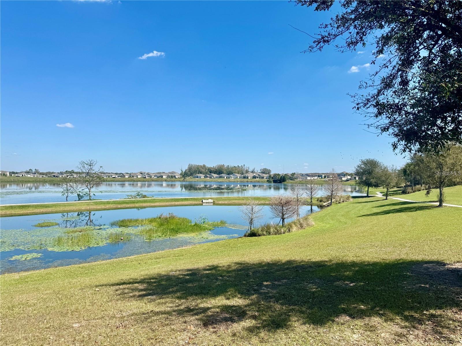 2738 NORWAY MAPLE CT