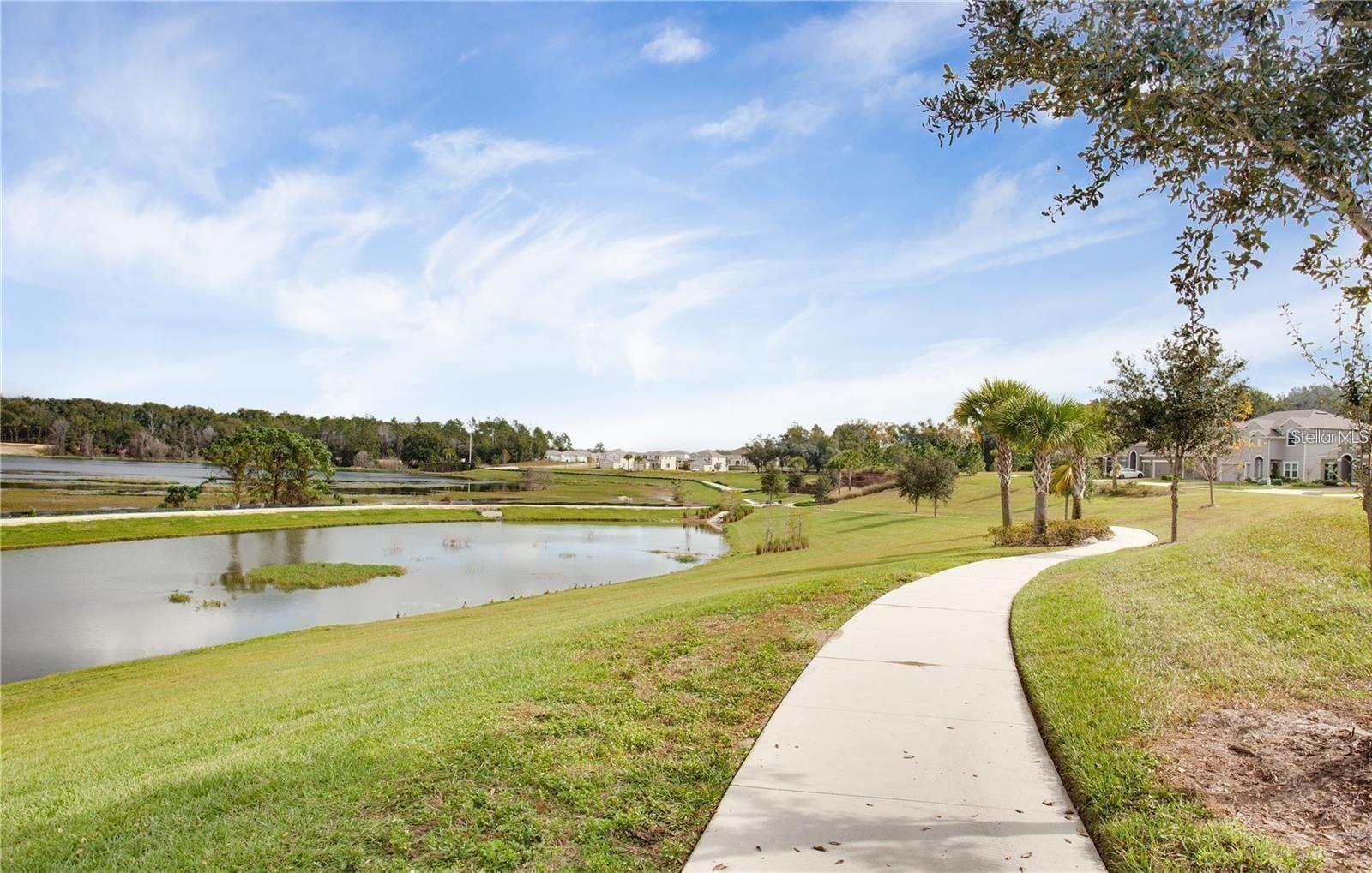 2738 NORWAY MAPLE CT