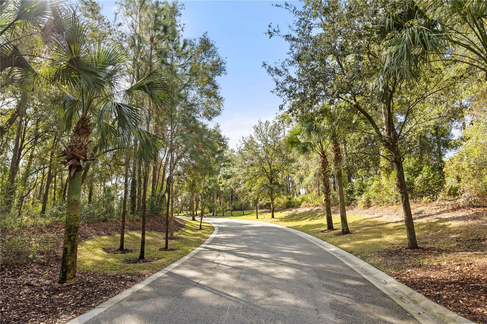 2292 MOUNTAIN PINE ST