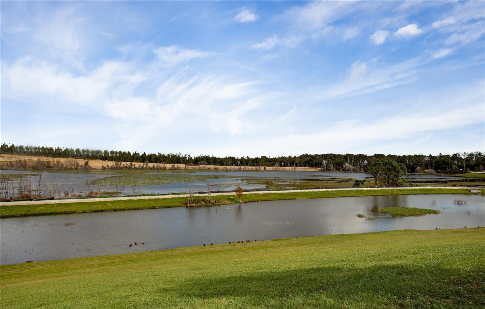 2280 MOUNTAIN PINE ST