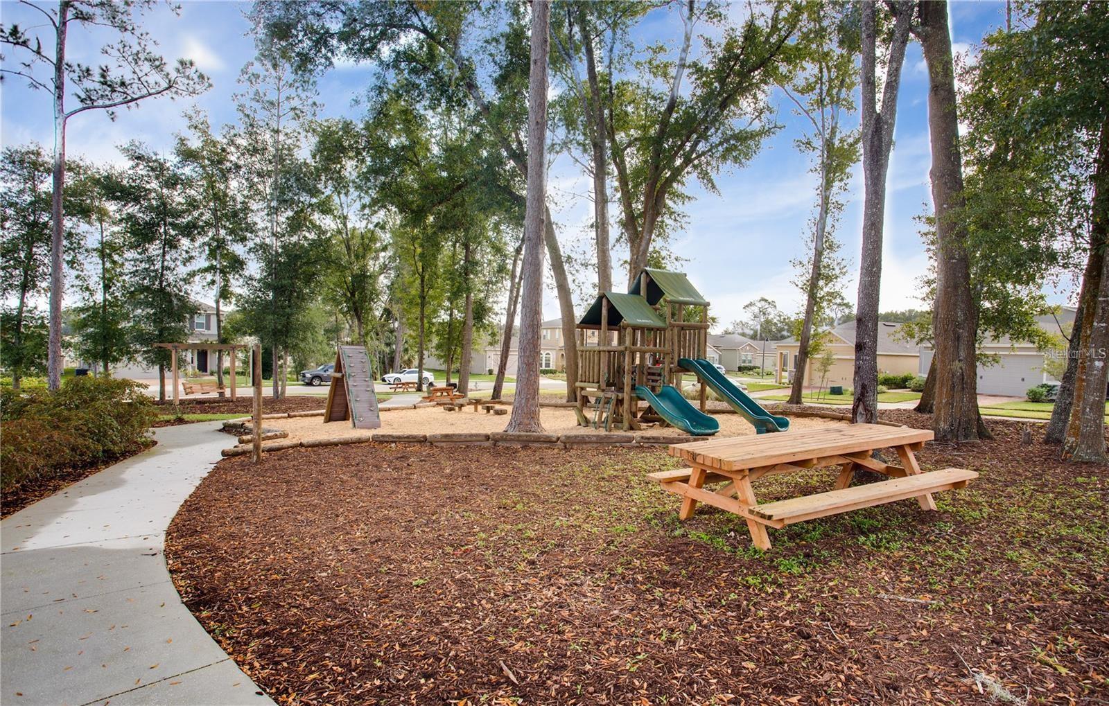 2280 MOUNTAIN PINE ST