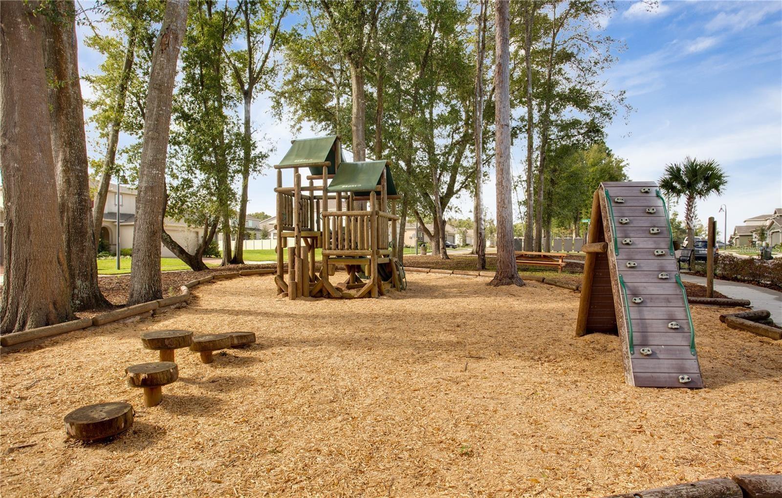 2280 MOUNTAIN PINE ST