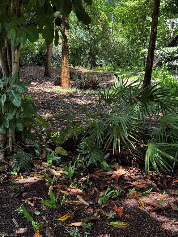 BONITA SPRINGS