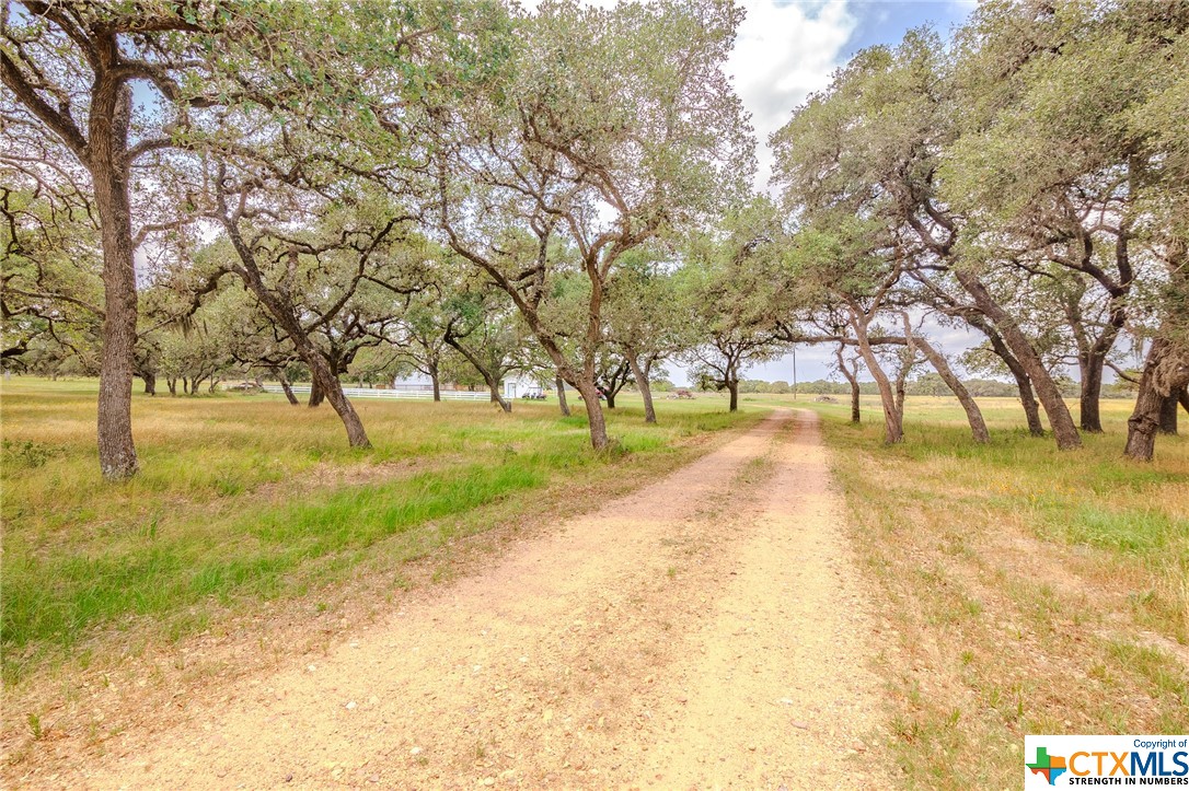 4132 County Road 436