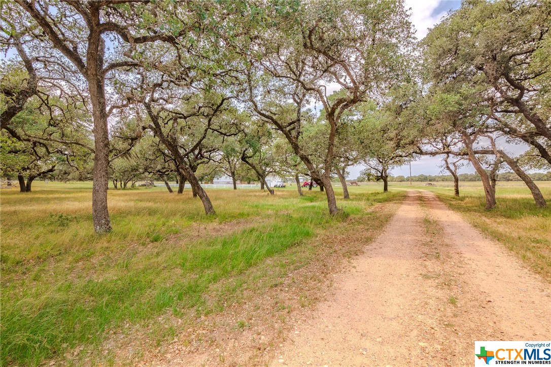 4132 County Road 436