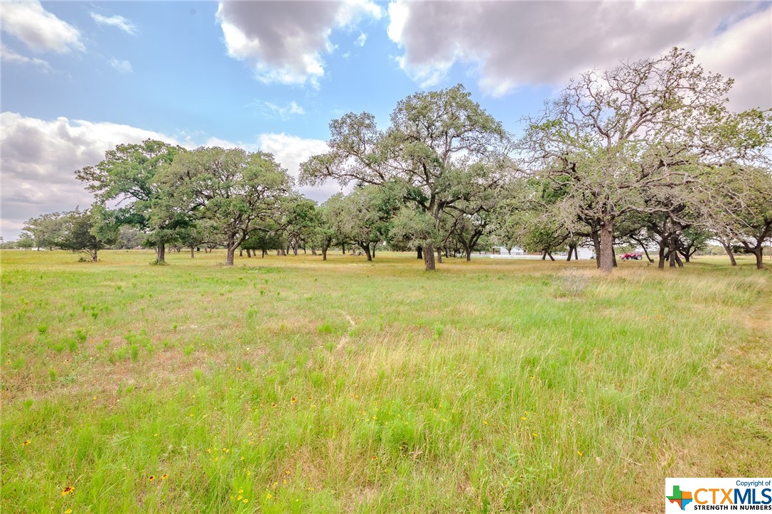 4132 County Road 436