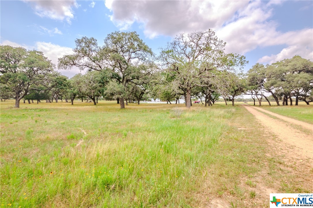 4132 County Road 436