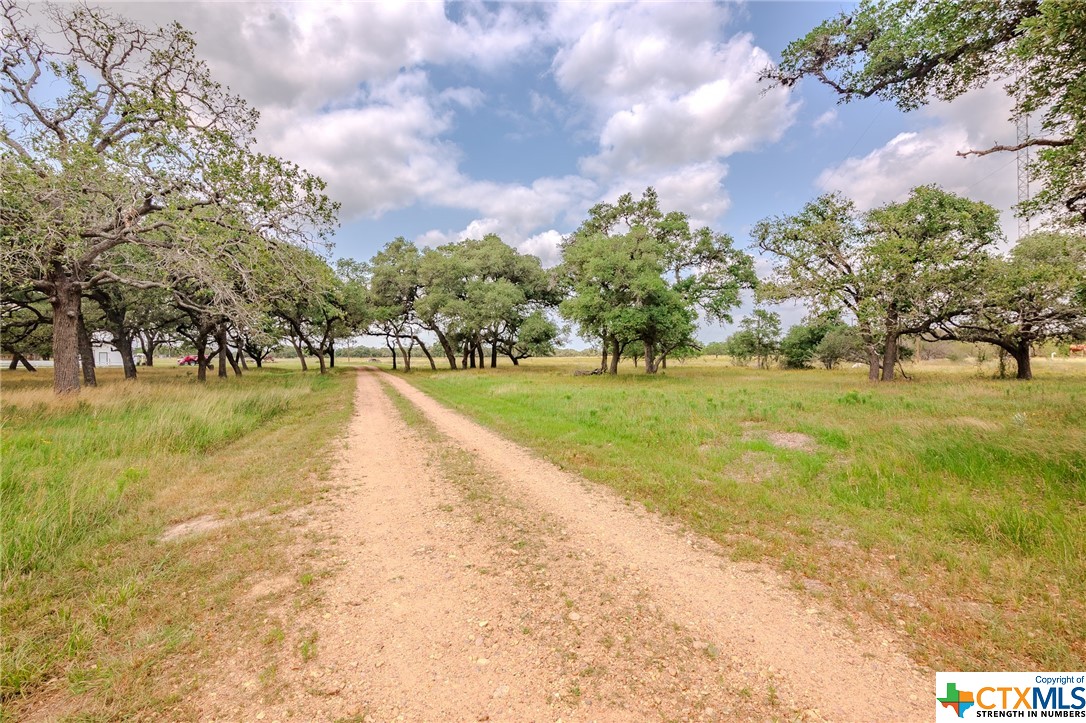 4132 County Road 436